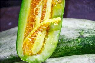 三亚网红吃瓜,瓜果飘香,美味尽享 第2张 三亚网红吃瓜,瓜果飘香,美味尽享 第2张